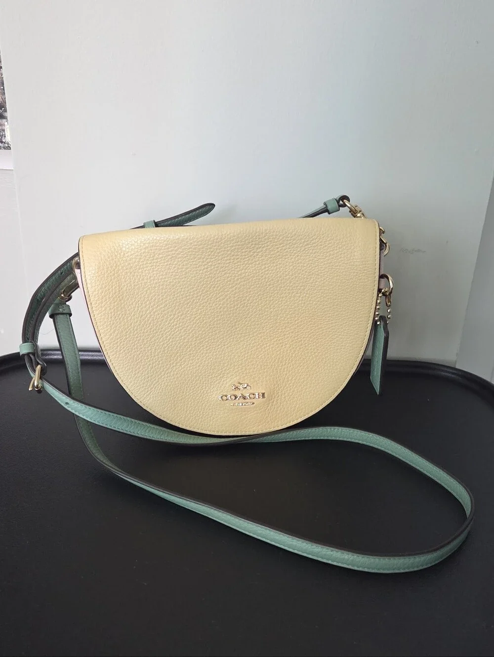 Coach Ellen Crossbody Colorblock Purse